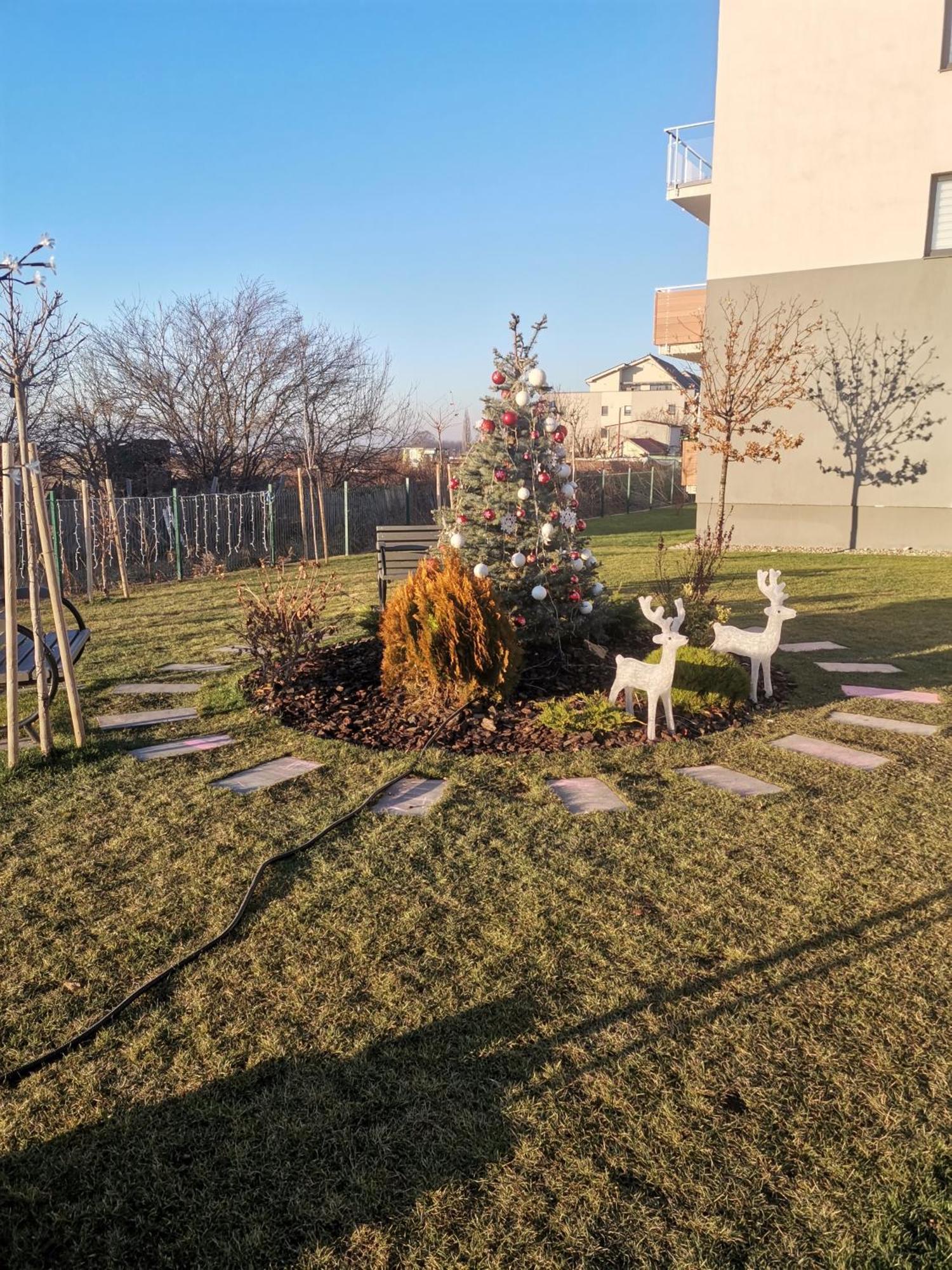 Apartmant Melinda M16 Apartman Brassó Kültér fotó